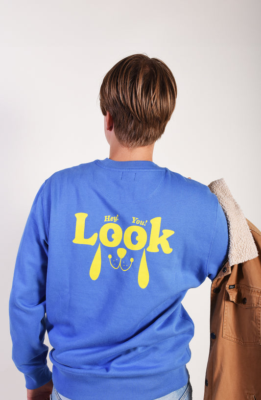 LOOK Radiant Blue Organic Sweater