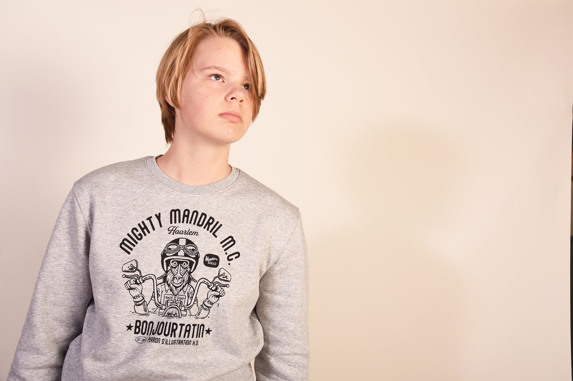 Mighty Mandril M.C. Organic Sweater grey - Bonjour Tatin