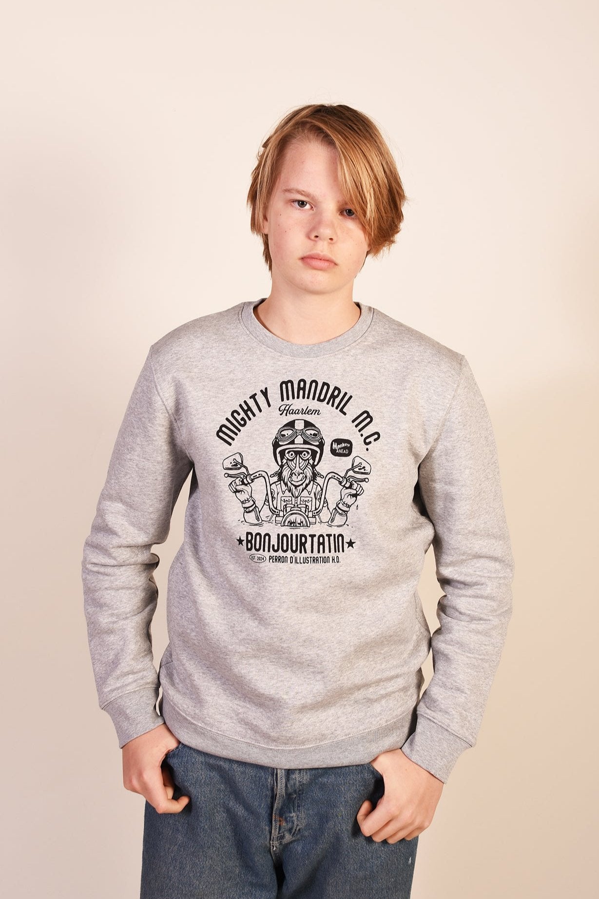 Mighty Mandril M.C. Organic Sweater grey - Bonjour Tatin