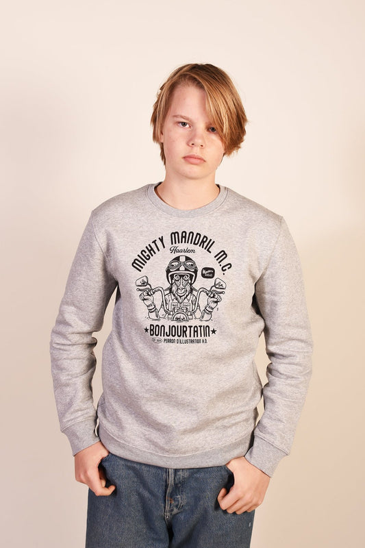 Mighty Mandril M.C. Organic Sweater grey - Bonjour Tatin